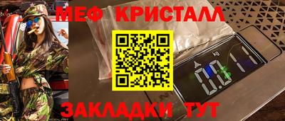 шишки Дубна