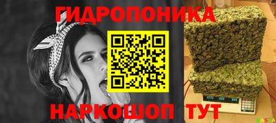 шишки Дубна