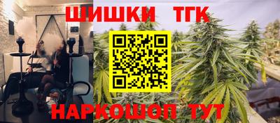 шишки Дубна