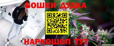 шишки Дубна