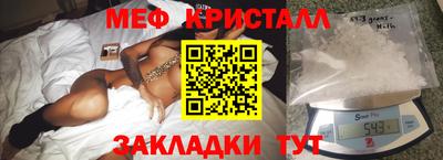 шишки Дубна