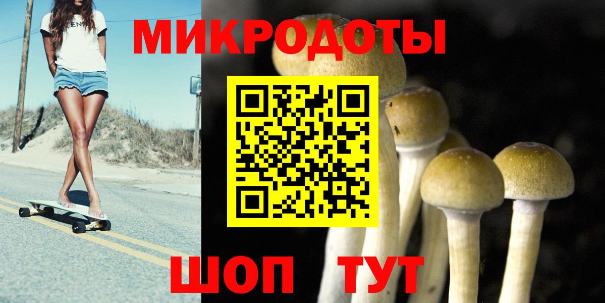 Галлюциногенные грибы Psilocybine cubensis  Вход с VPN  Мирный 